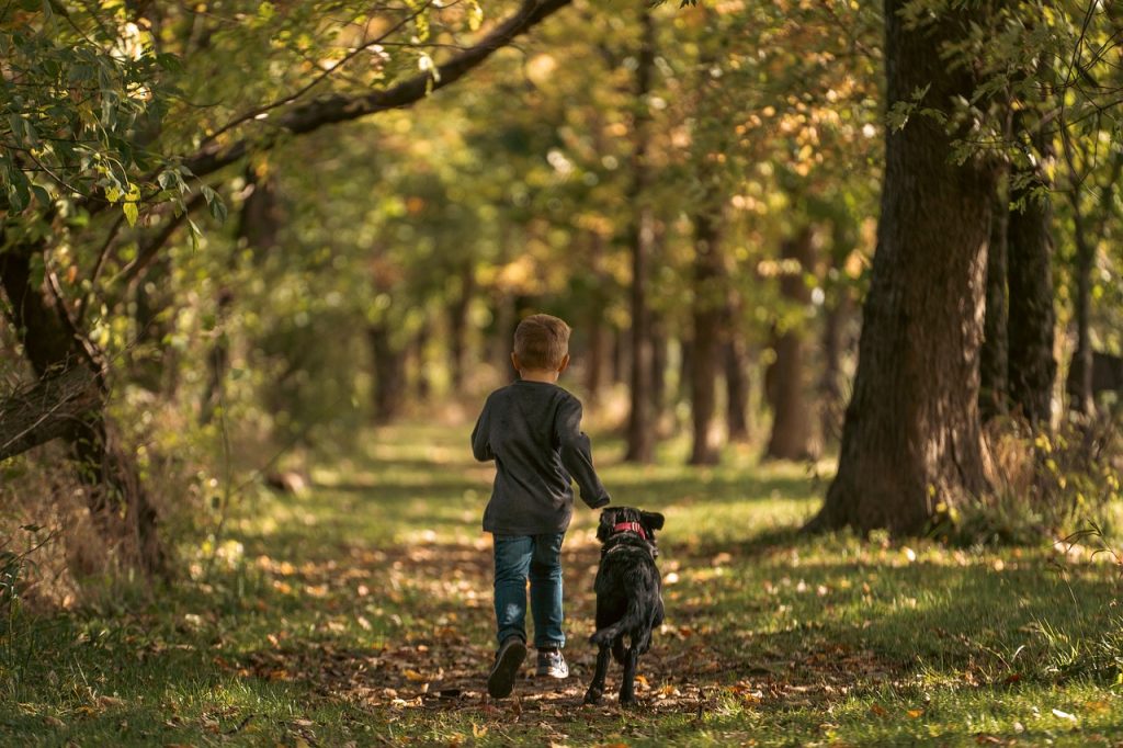 Dog Poop Pickup in Beverly Hills Michigan